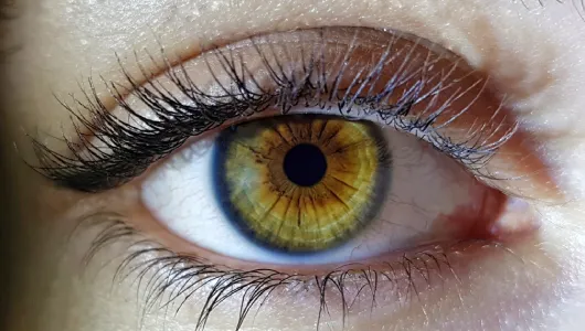 Healing Layer Applied